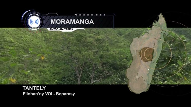 Mangarivotra Moramanga : olona miisa 37 no niakatra fampanoavana